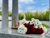 img 43495