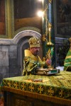 img 43806