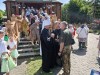 img 43863