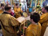 img 43995