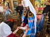 img 44178