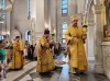 img 44338