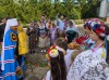 img 44363