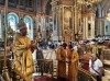 img 44581