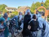 img 44659