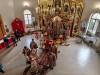 img 45137