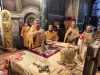 img 45262