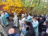 img 45304
