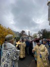 img 45310