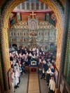 img 45415