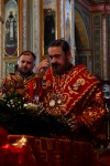 img 48941