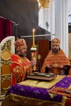 img 49044