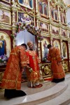 img 49051