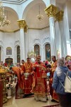 img 49060