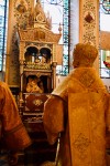 img 49082
