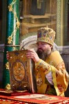 img 49142
