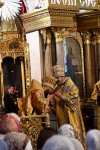 img 49147
