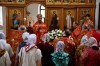 img 49220