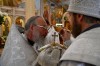 img 49246