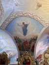 img 49258