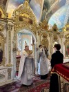 img 49259
