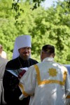 img 49290