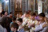 img 49316