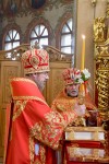 img 49363
