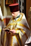 img 49391