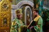 img 49474