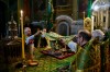 img 49481
