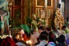 img 49482
