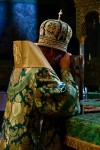 img 49486
