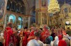 img 49524