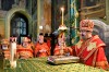img 49534