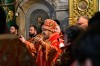 img 49540