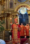 img 49546