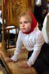 img 49550
