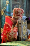 img 49555