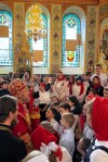 img 49559