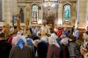 img 49664