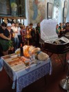 img 49681