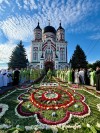 img 49728