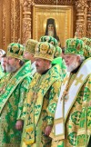 img 49731