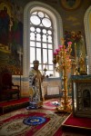 img 49778