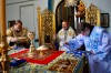 img 49786