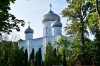 img 49846