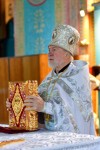 img 49856