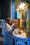 img 49868