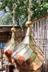 img 49901